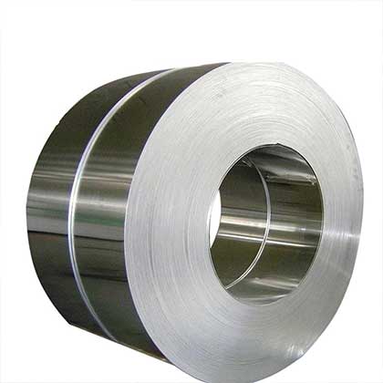 Stainless Steel Strip